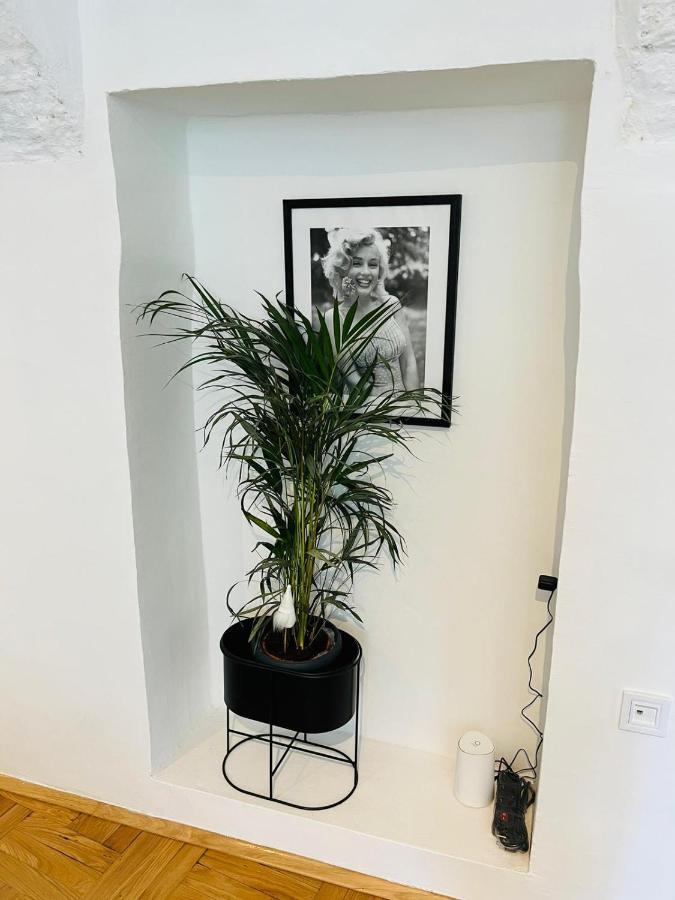 Downtown Secret Apartment 萨格勒布 外观 照片