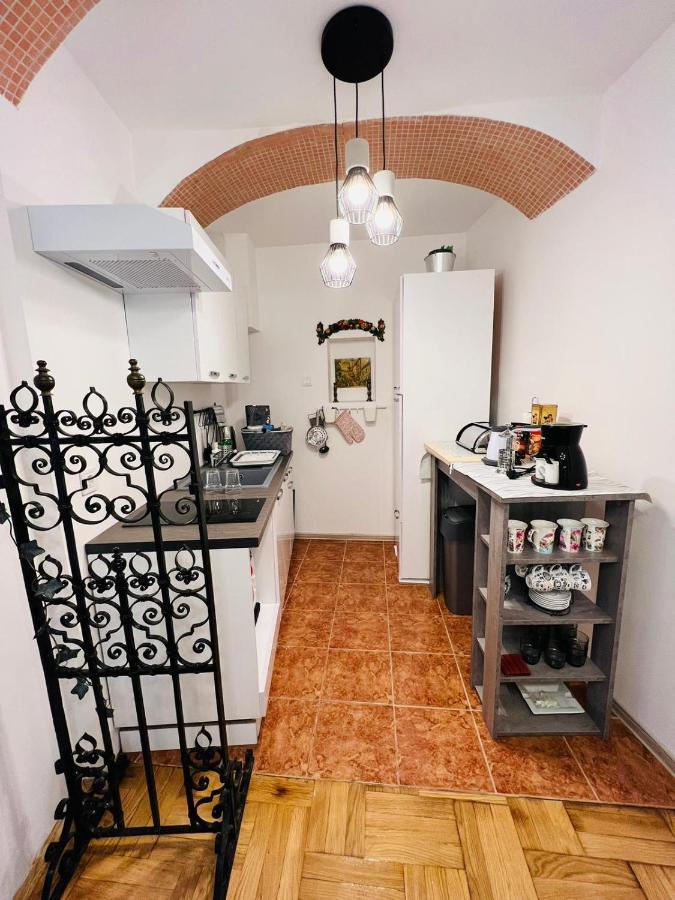 Downtown Secret Apartment 萨格勒布 外观 照片