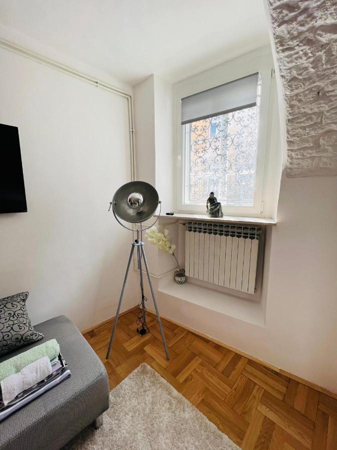 Downtown Secret Apartment 萨格勒布 外观 照片