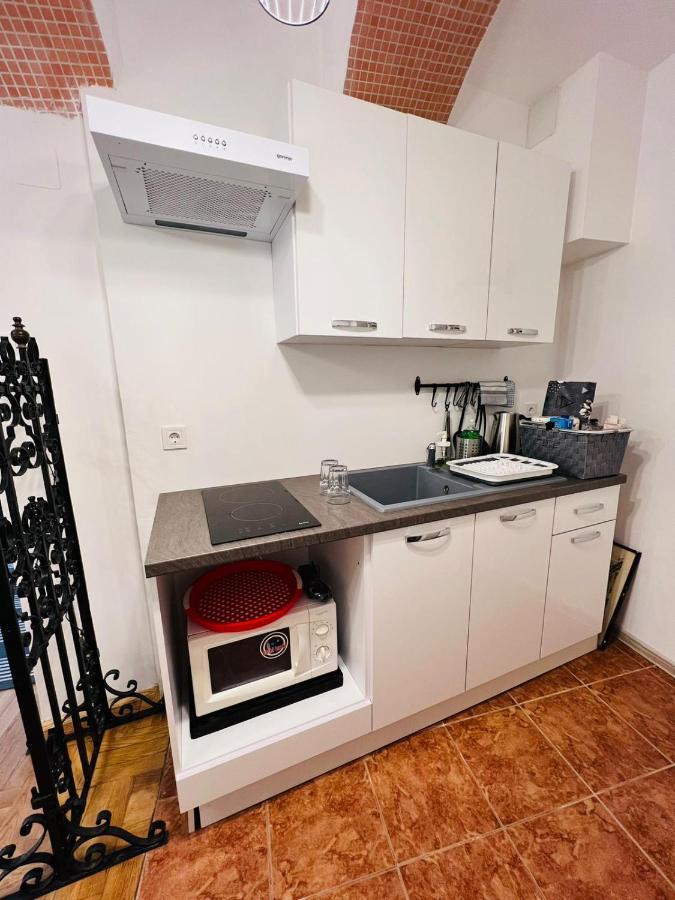 Downtown Secret Apartment 萨格勒布 外观 照片