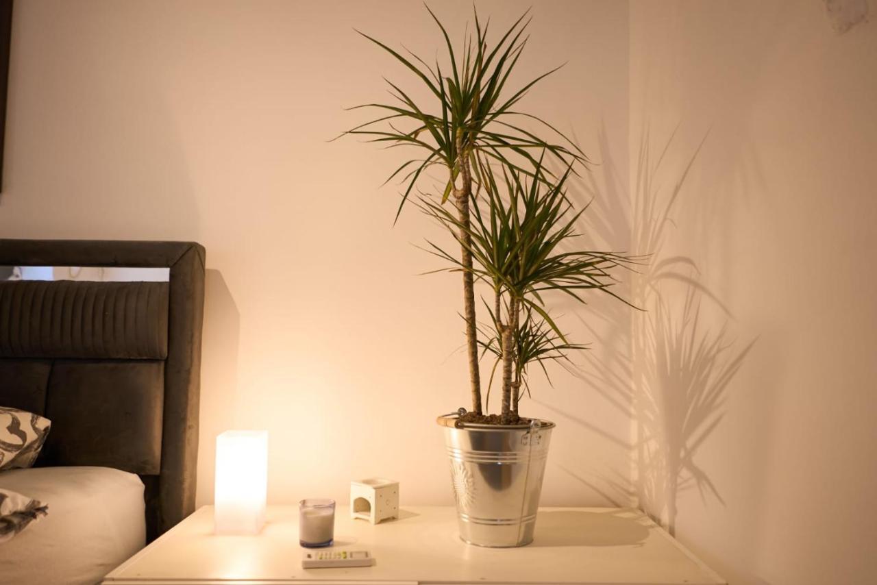 Downtown Secret Apartment 萨格勒布 外观 照片